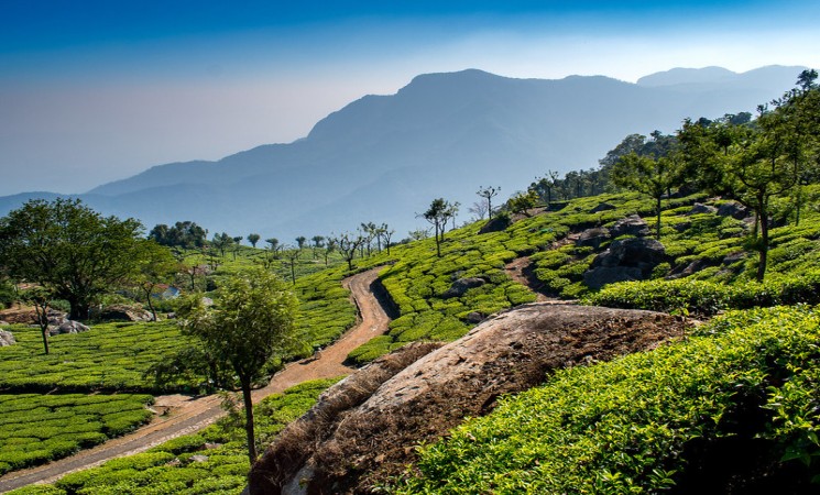 Coimbatore, Ooty, Coonoor, Mudumalai