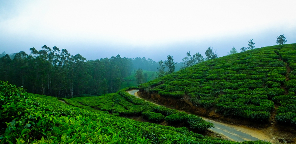 Kerala Tourm best tourist places in Kerala