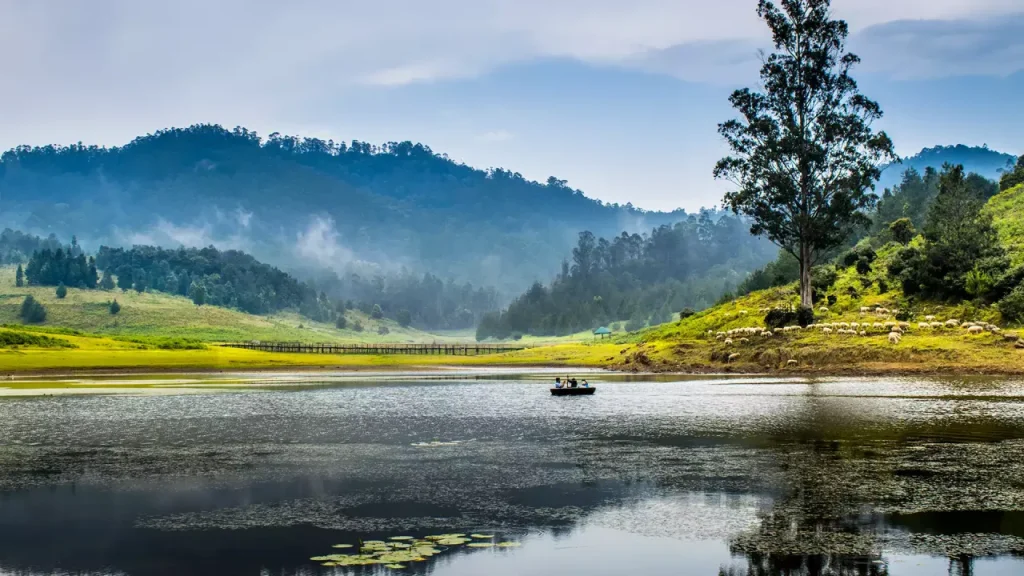 kodaikanal-lake